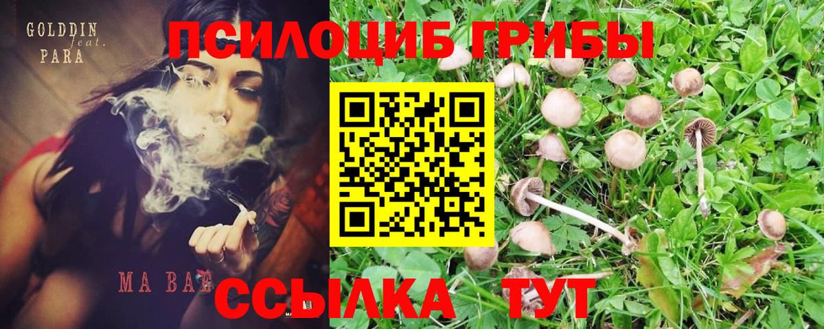 Псилоцибиновые грибы мухоморы  Вход с VPN  магазин  наркотиков  Псилоцибиновые грибы ЛСД  Заводоуковск 
