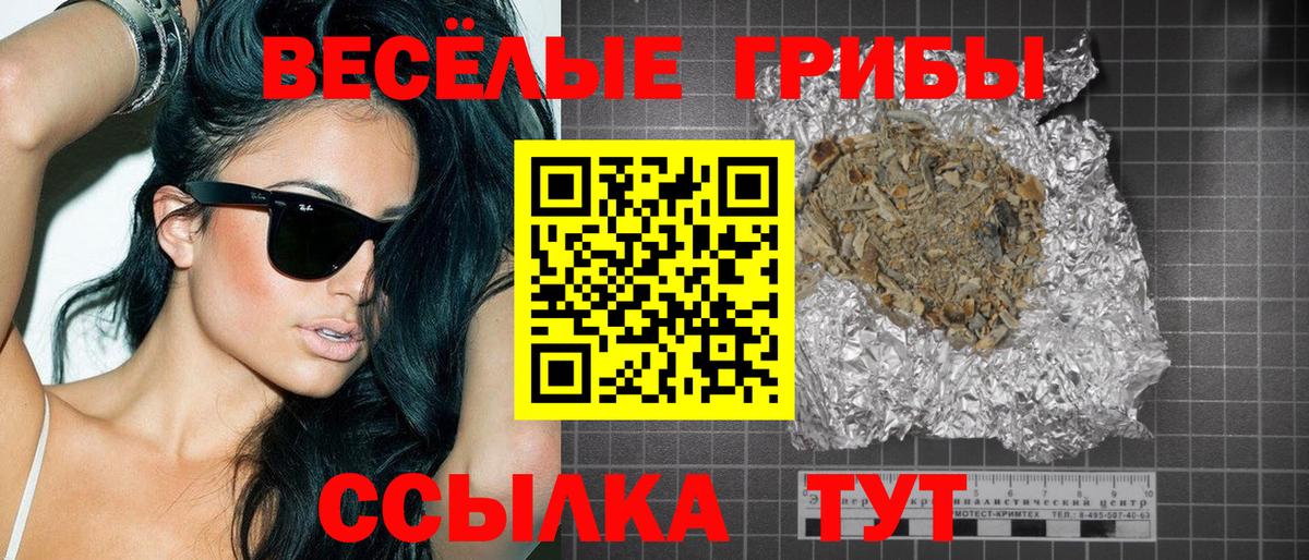 Псилоцибиновые грибы мухоморы Заводоуковск